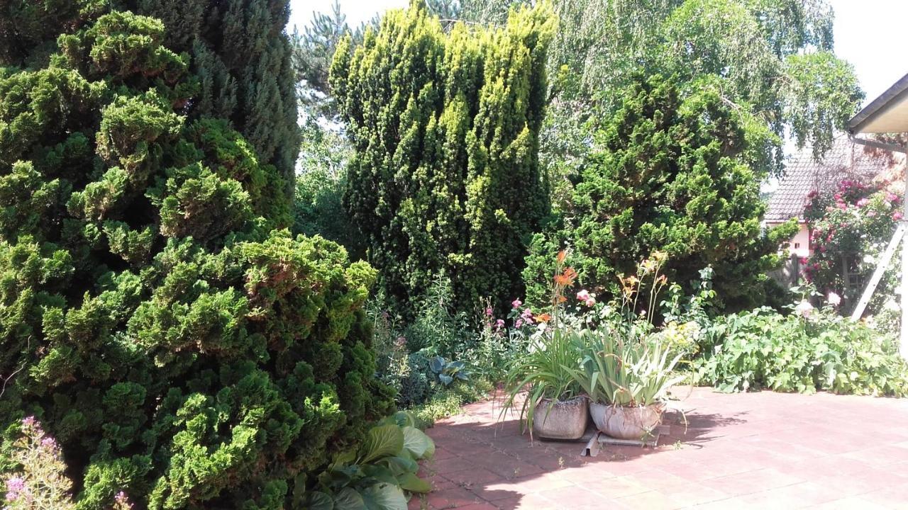 Chambres Du Jardin Fleuri Saint-Aubin-lès-Elbeuf Exteriör bild